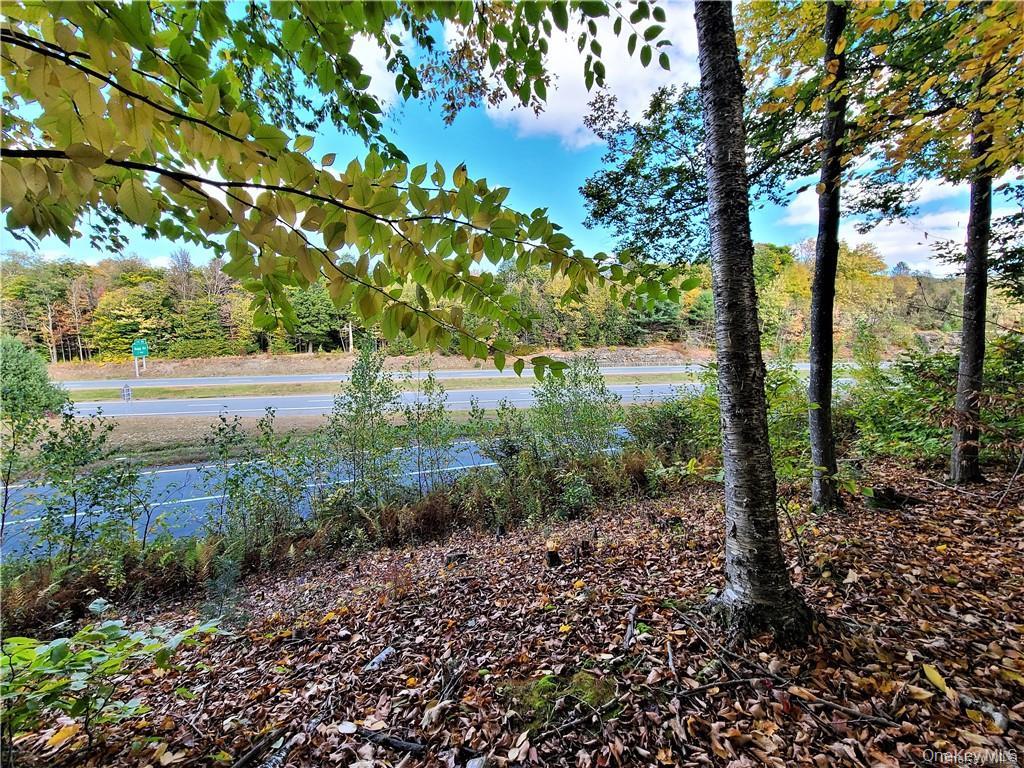 Lot 5.4 Kaufman Road Property Photo 9