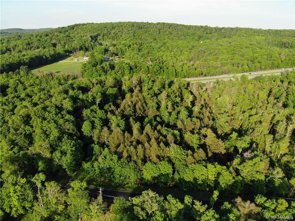Lot 5.4 Kaufman Road Property Photo 29