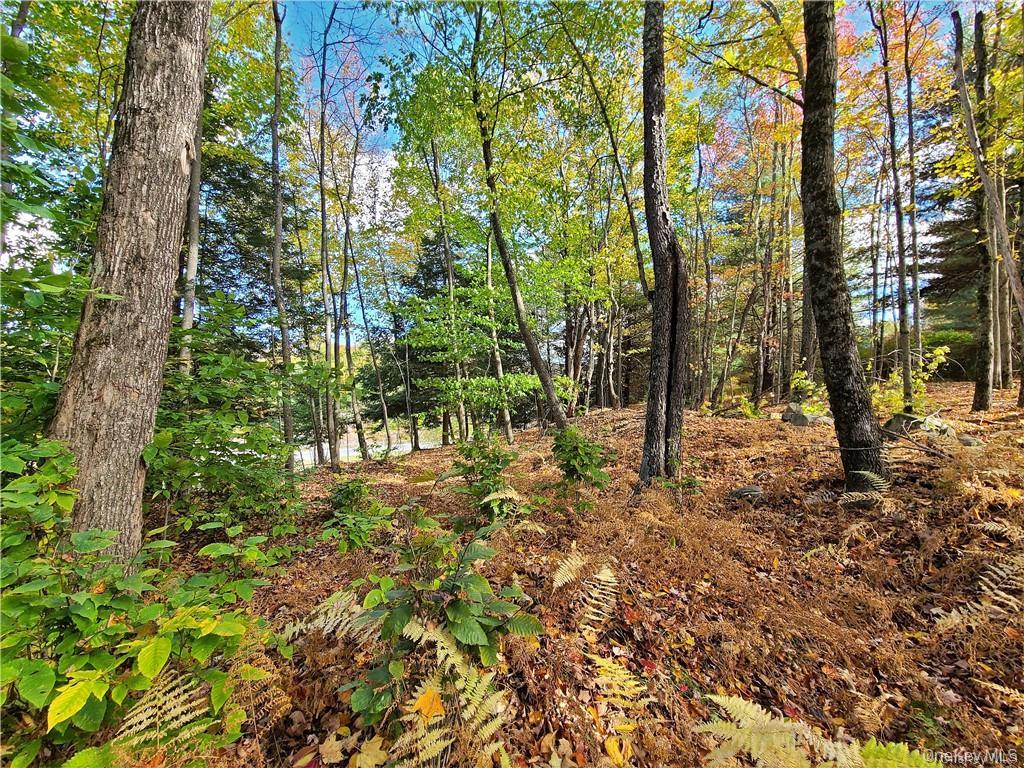 Lot 5.4 Kaufman Road Property Photo 31