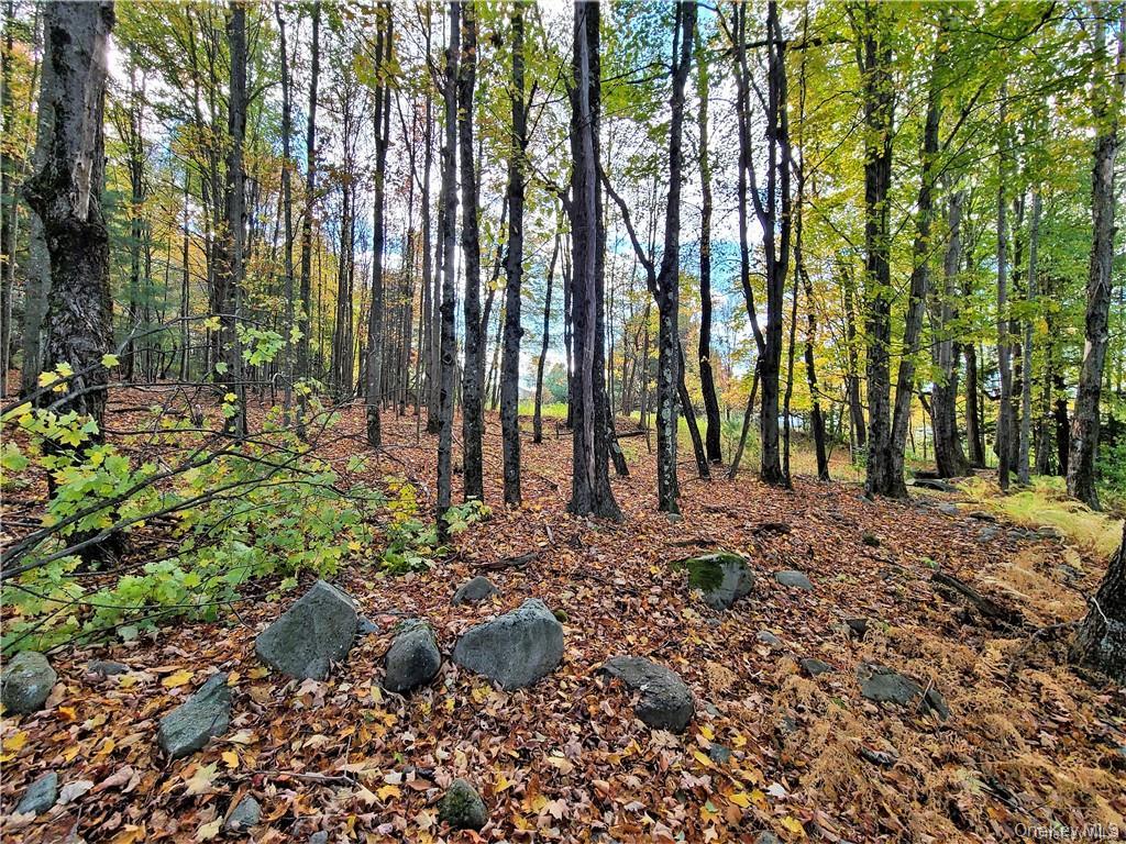 Lot 5.4 Kaufman Road Property Photo 32