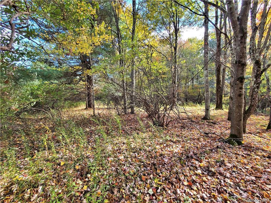 Lot 5.4 Kaufman Road Property Photo 33