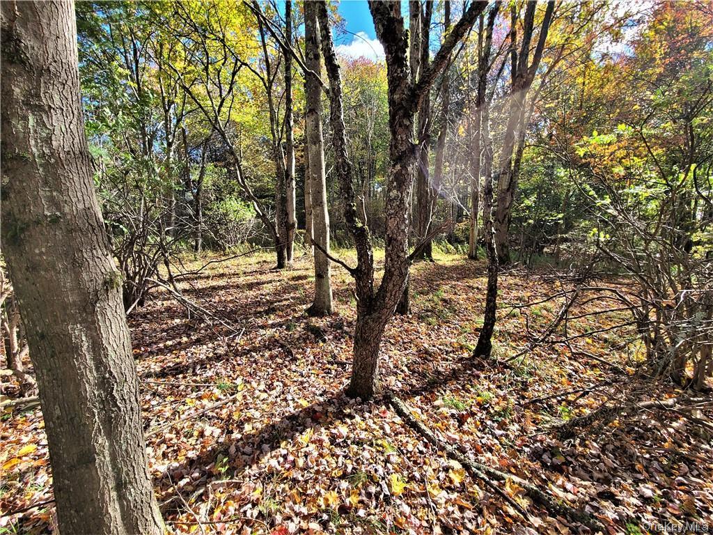 Lot 5.4 Kaufman Road Property Photo 34