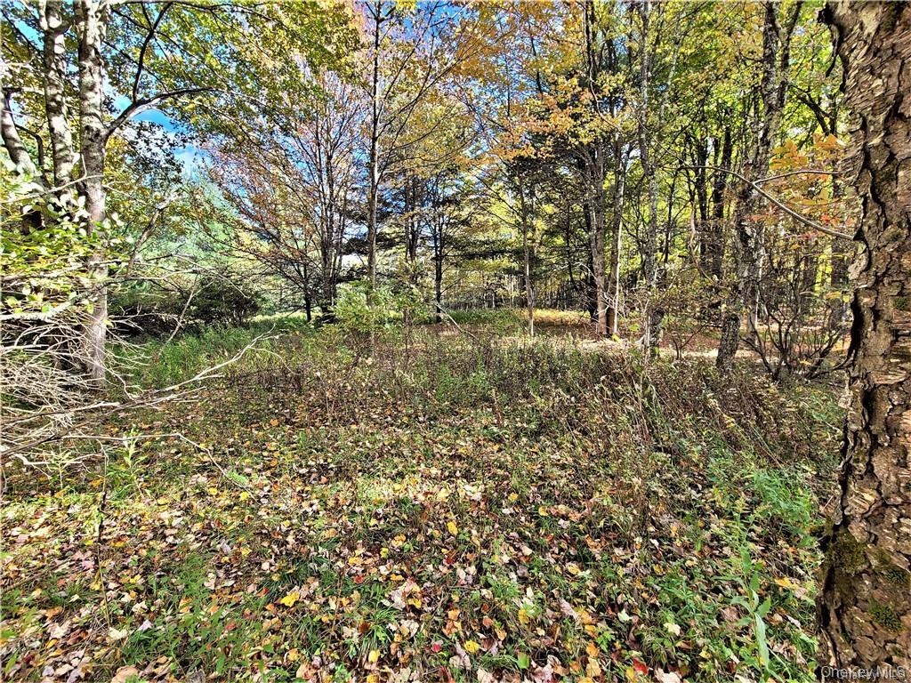 Lot 5.4 Kaufman Road Property Photo 35