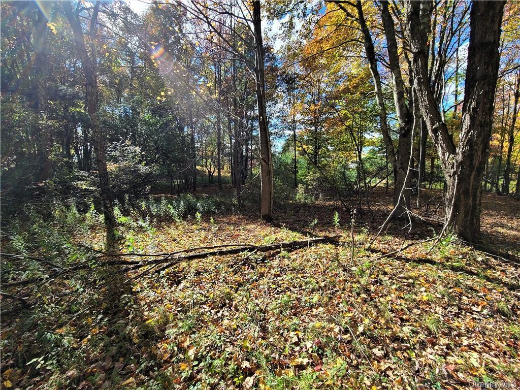 Lot 5.4 Kaufman Road Property Photo 36
