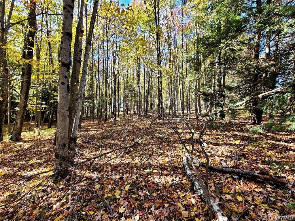 Lot 5.4 Kaufman Road Property Photo 37