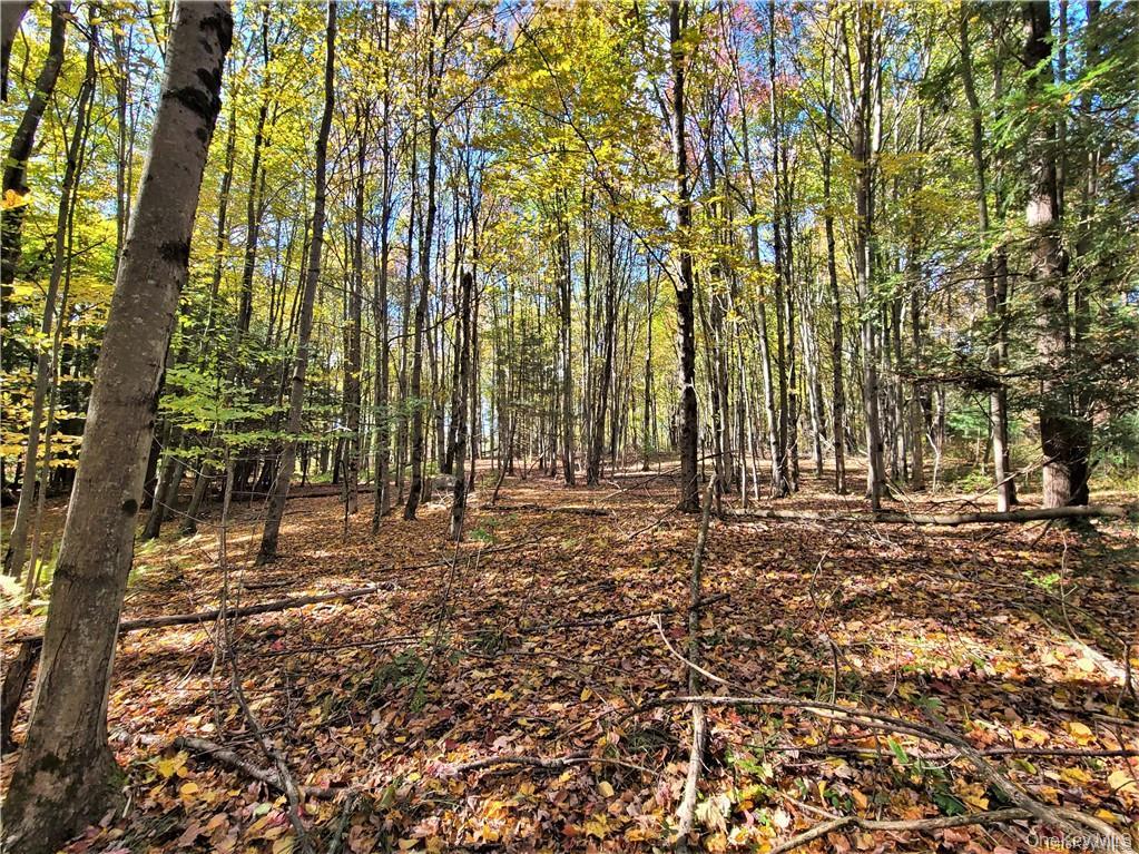 Lot 5.4 Kaufman Road Property Photo 38