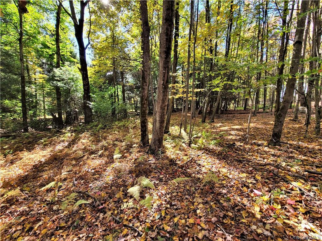 Lot 5.4 Kaufman Road Property Photo 39