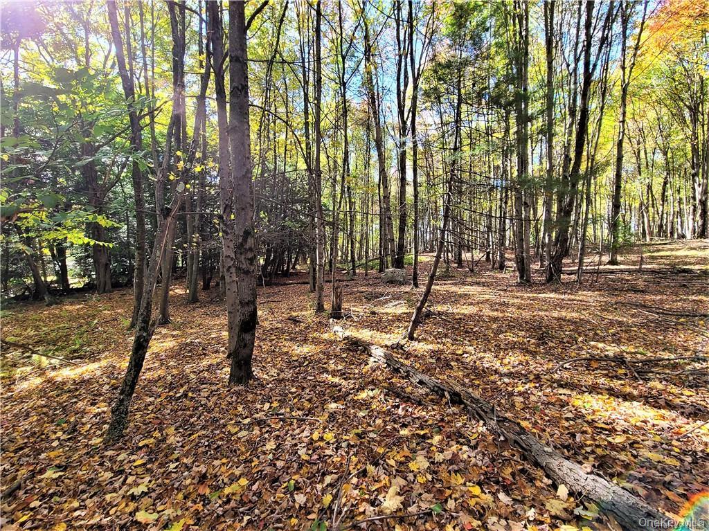 Lot 5.4 Kaufman Road Property Photo 40