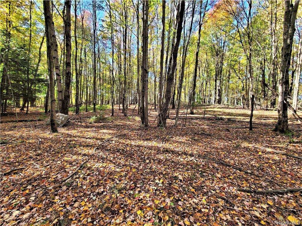 Lot 5.4 Kaufman Road Property Photo 41