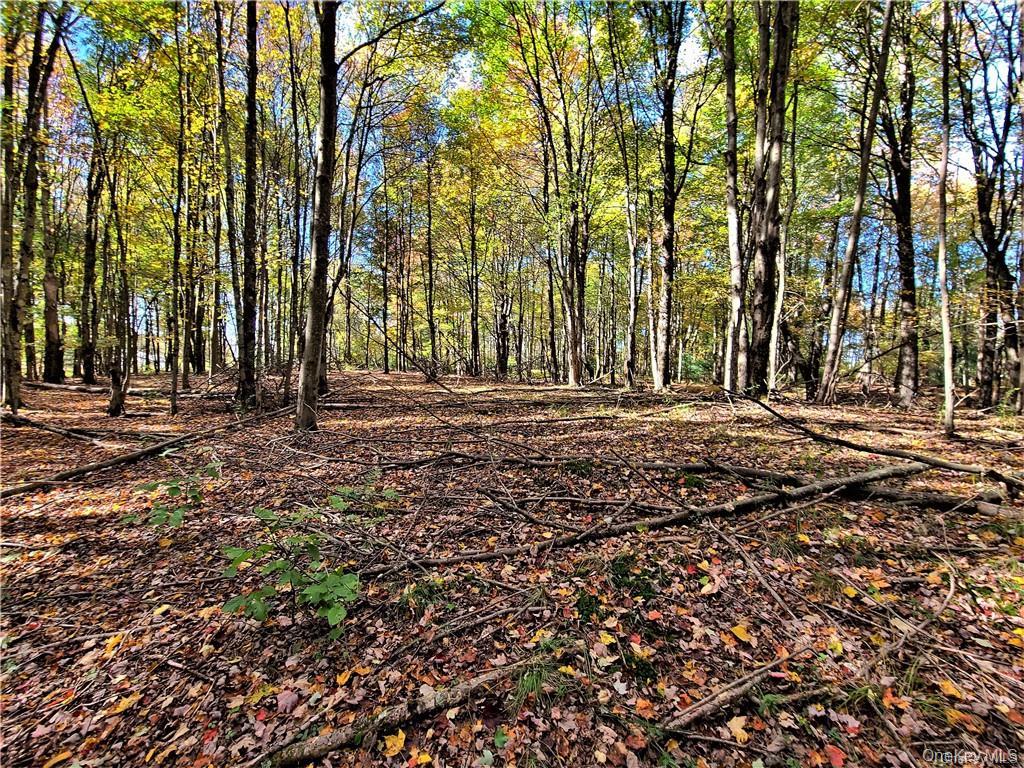 Lot 5.4 Kaufman Road Property Photo 42