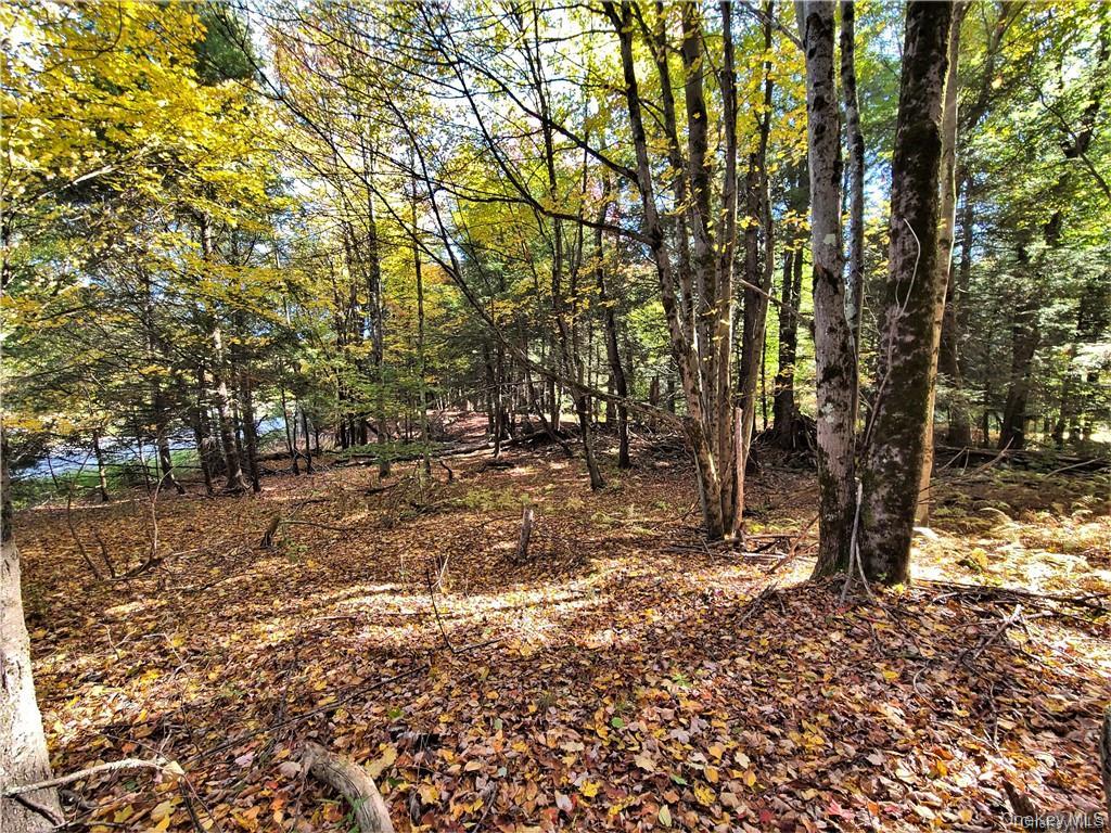 Lot 5.4 Kaufman Road Property Photo 43