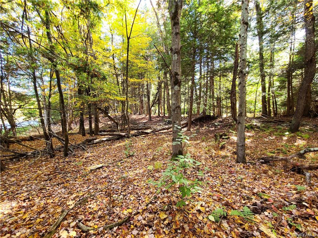 Lot 5.4 Kaufman Road Property Photo 44
