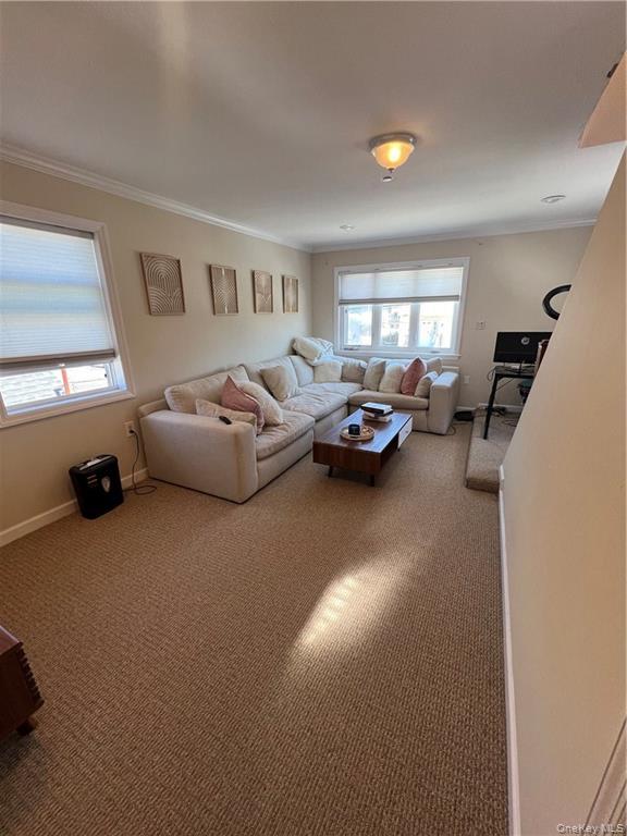 254 Arthur Street Property Photo 28