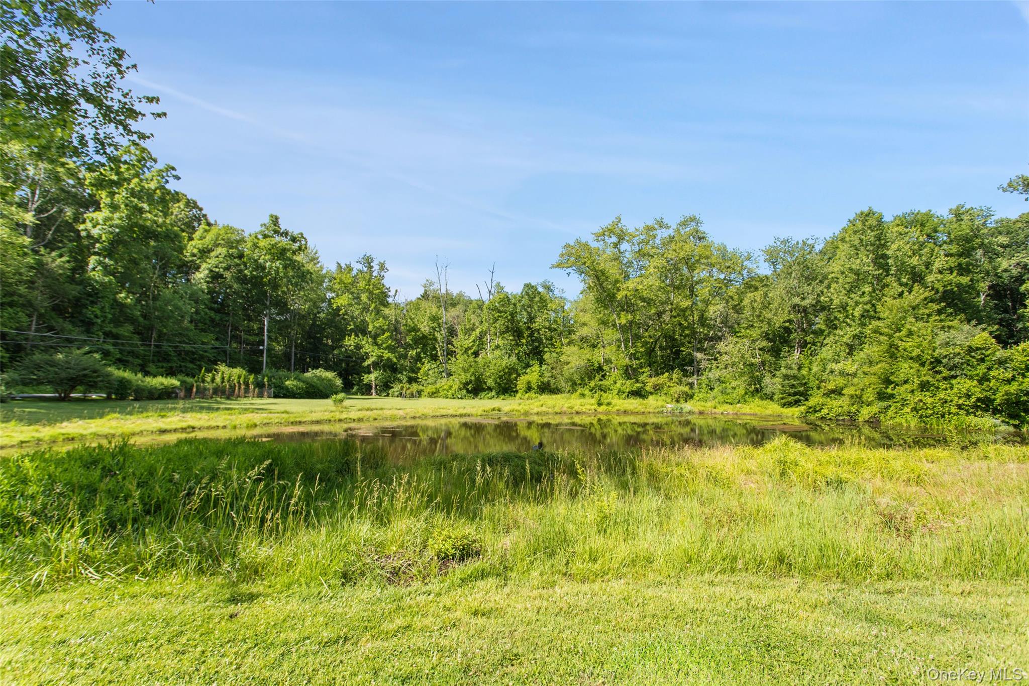 355 Pine Brook Road Property Photo 31