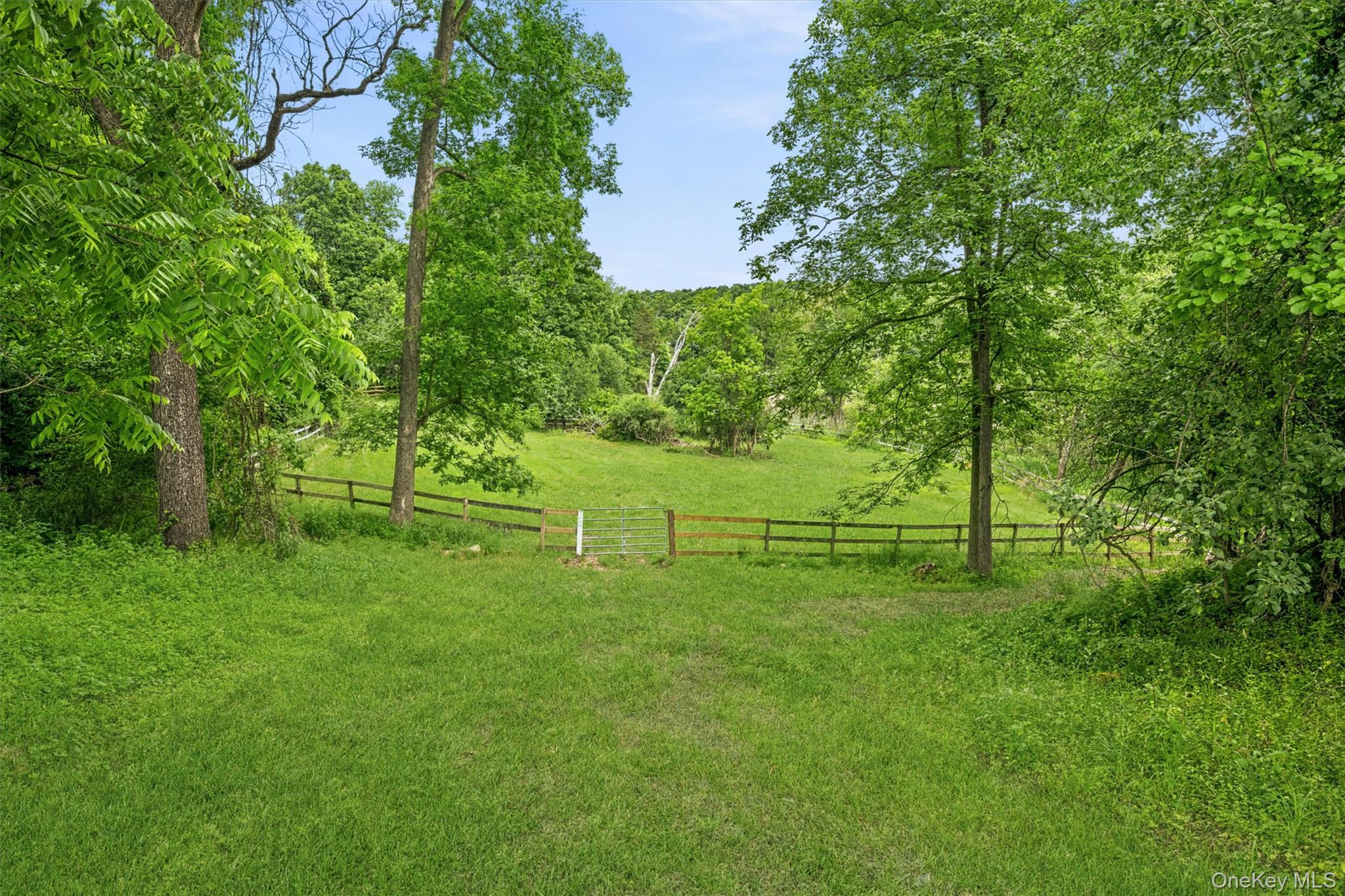 16 Almond Tree Lane Property Photo 33