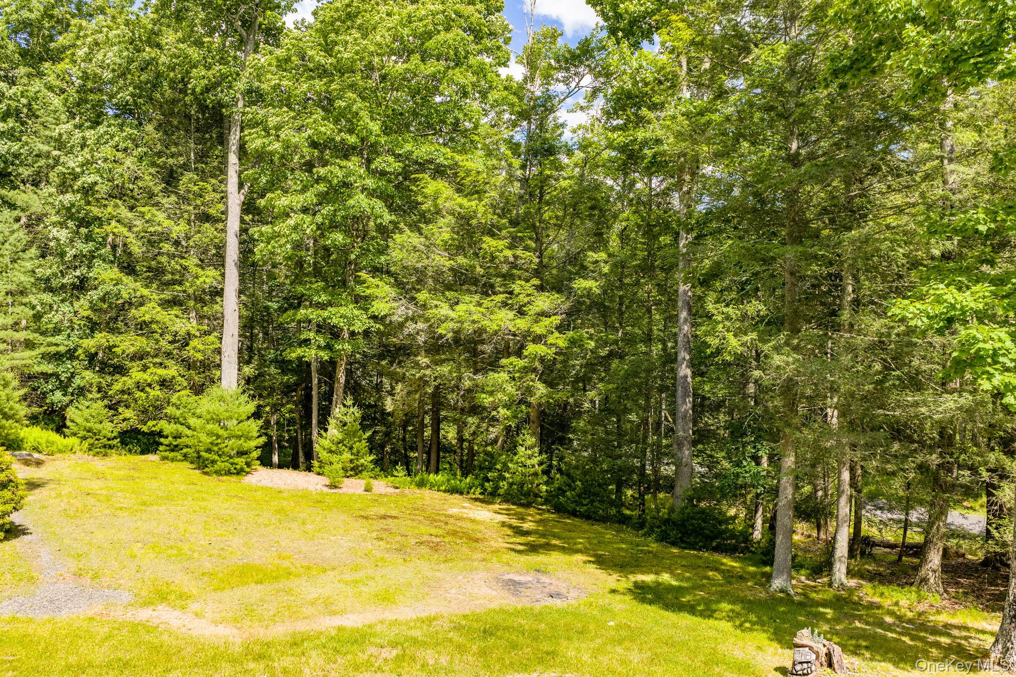 17 Collins Road Property Photo 24