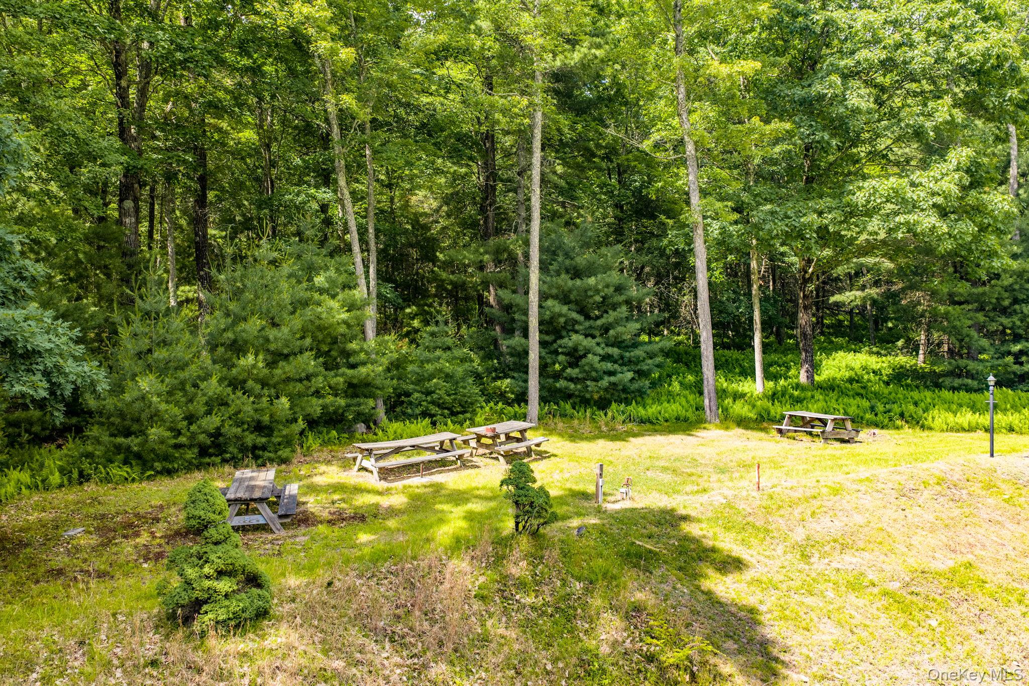 17 Collins Road Property Photo 26