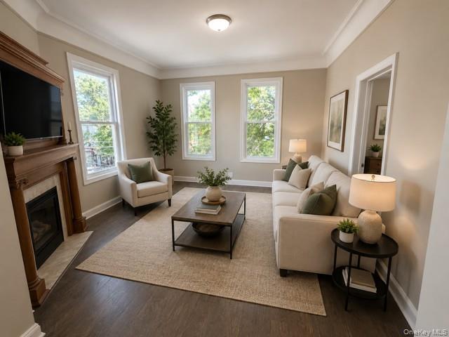 667 Morris Park Avenue Property Photo 7