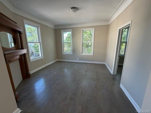 667 Morris Park Avenue Property Photo 8