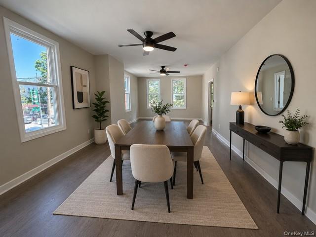667 Morris Park Avenue Property Photo 13