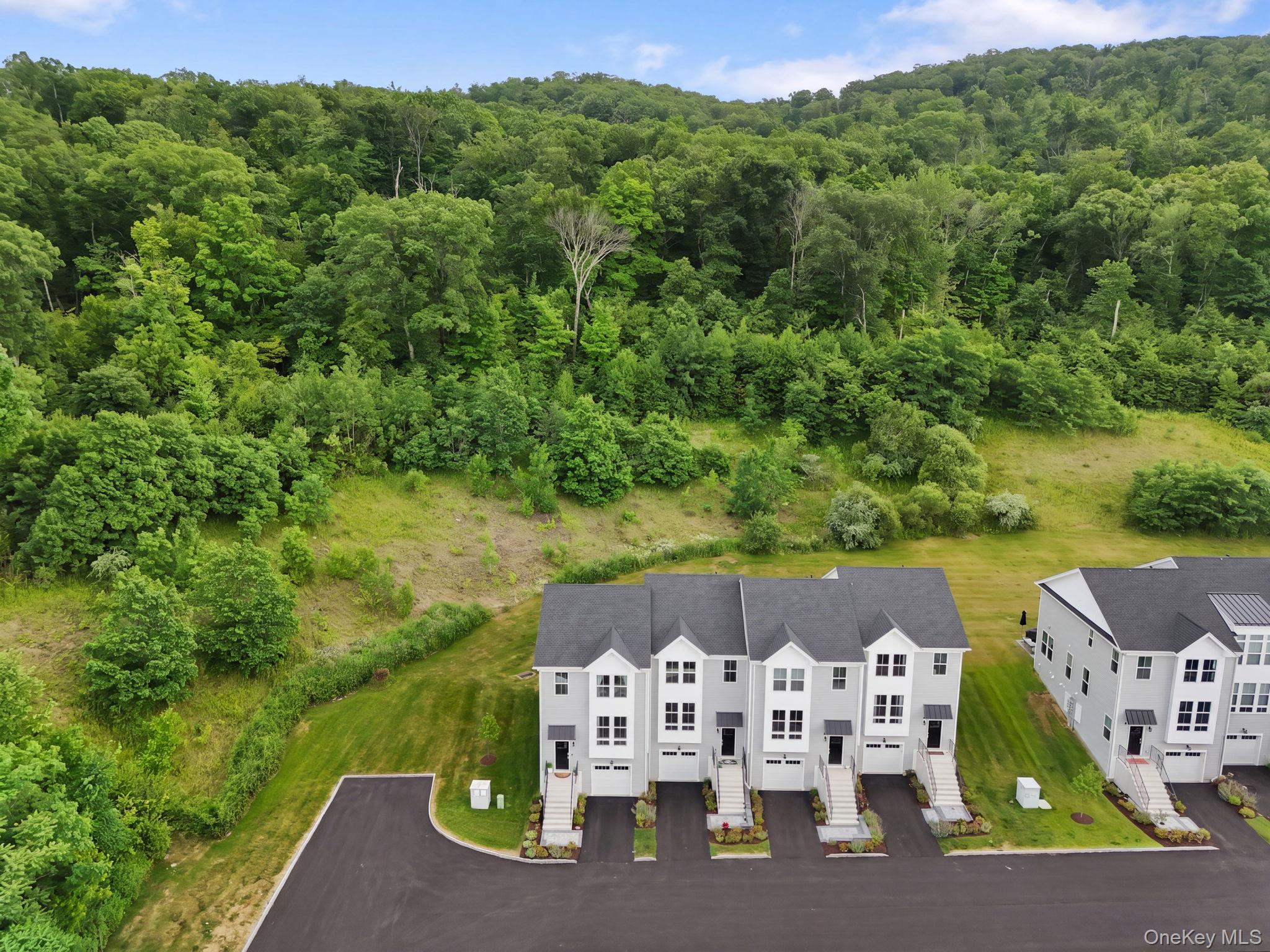 4048 Chestnut Ridge Road Property Photo 49