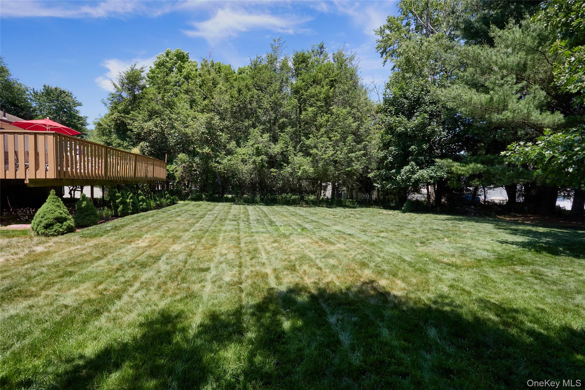 84 Longdale Road Property Photo 37