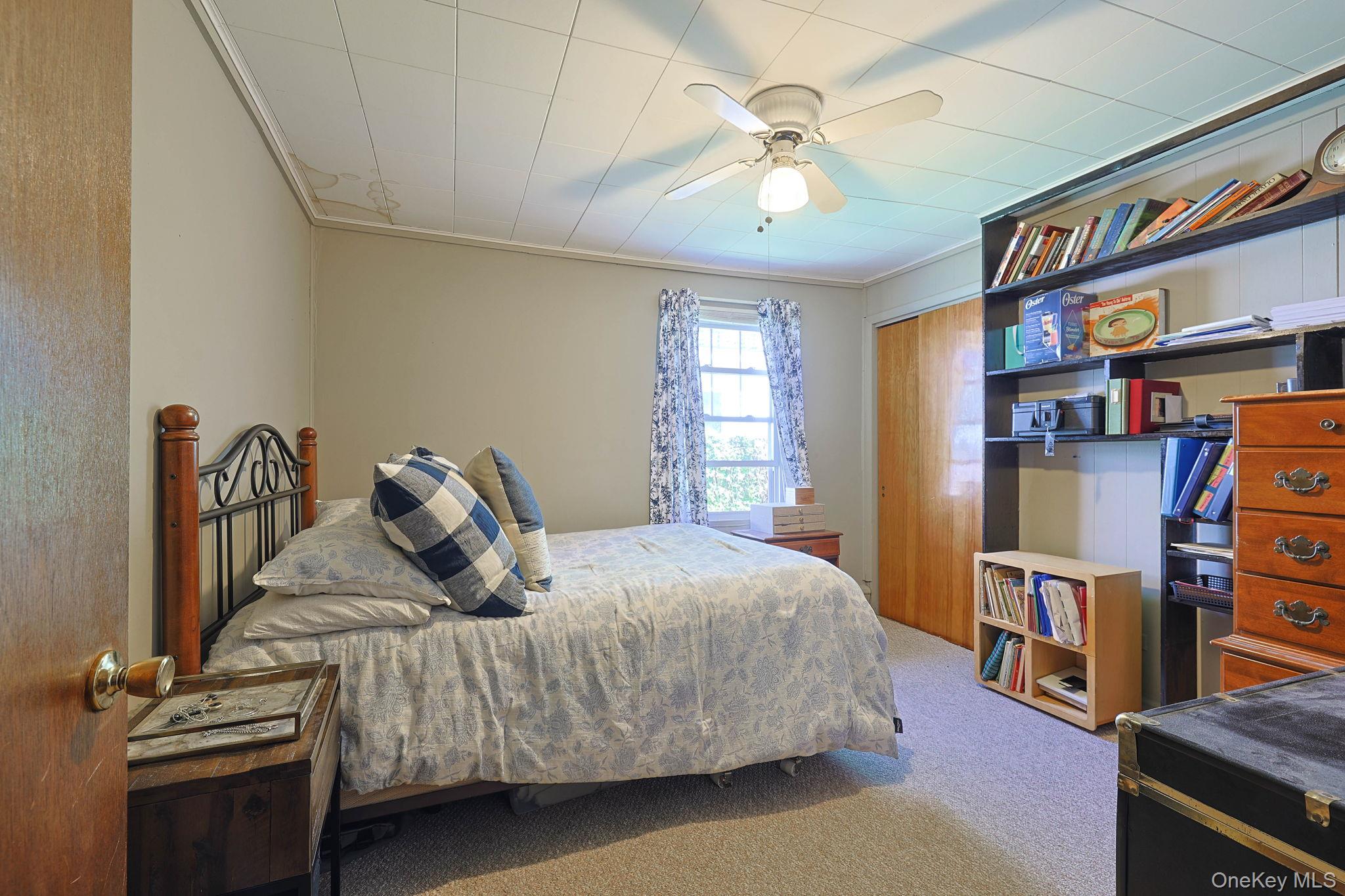 37 Algernon Street Property Photo 19