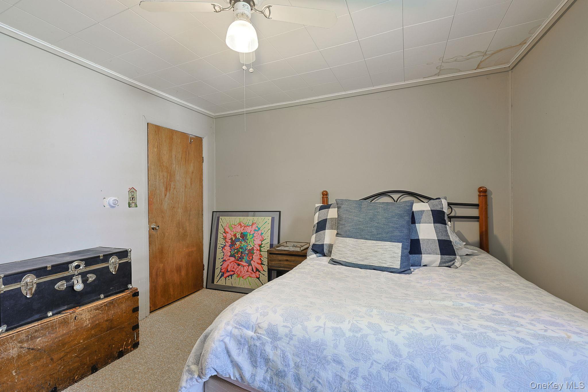 37 Algernon Street Property Photo 20