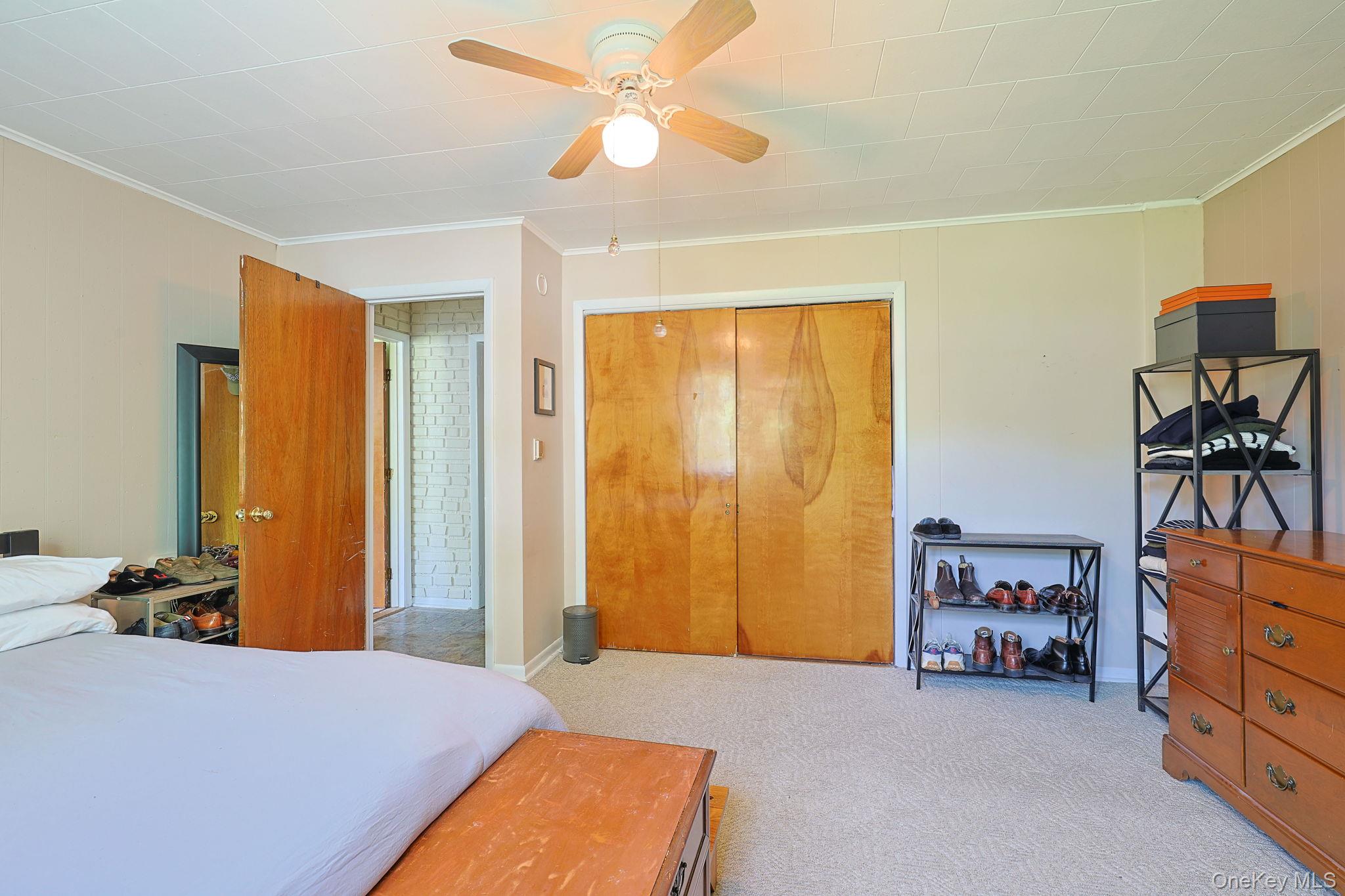 37 Algernon Street Property Photo 22