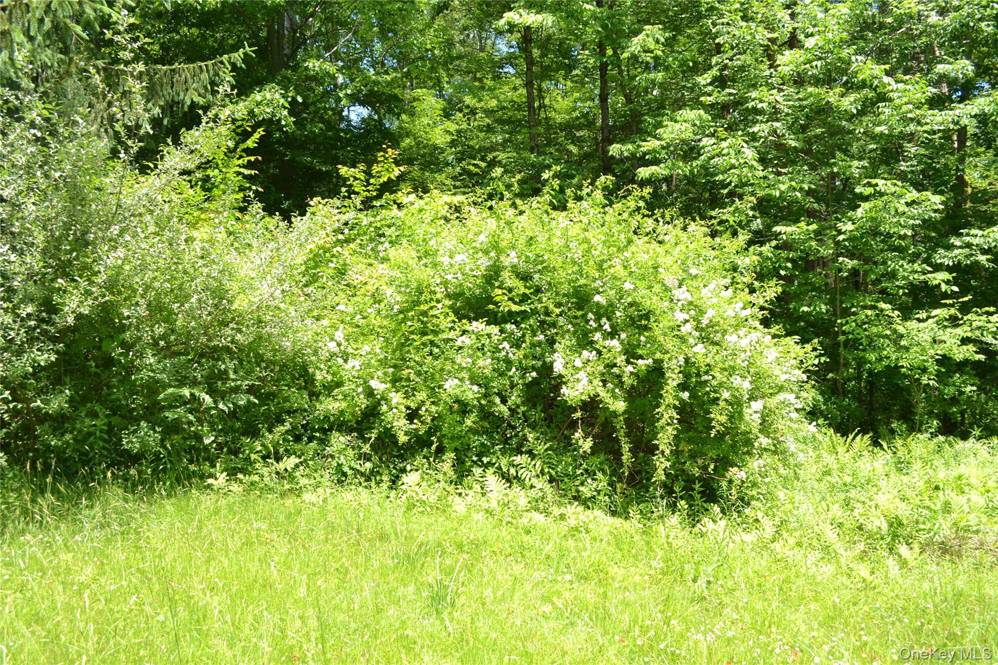 549 Gavette Road Property Photo 25