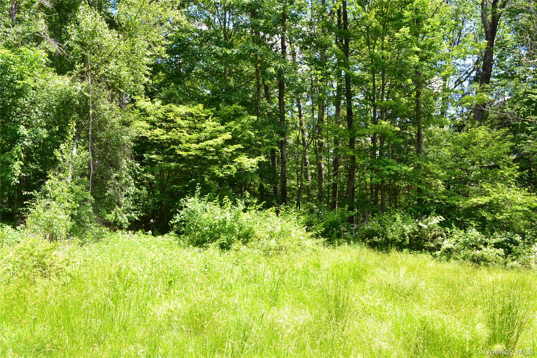 549 Gavette Road Property Photo 26