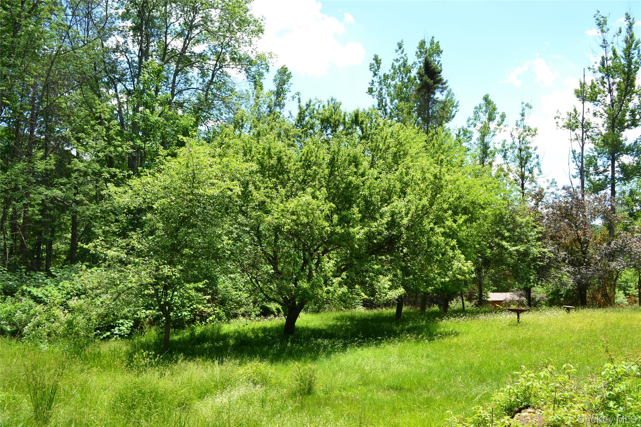 549 Gavette Road Property Photo 27