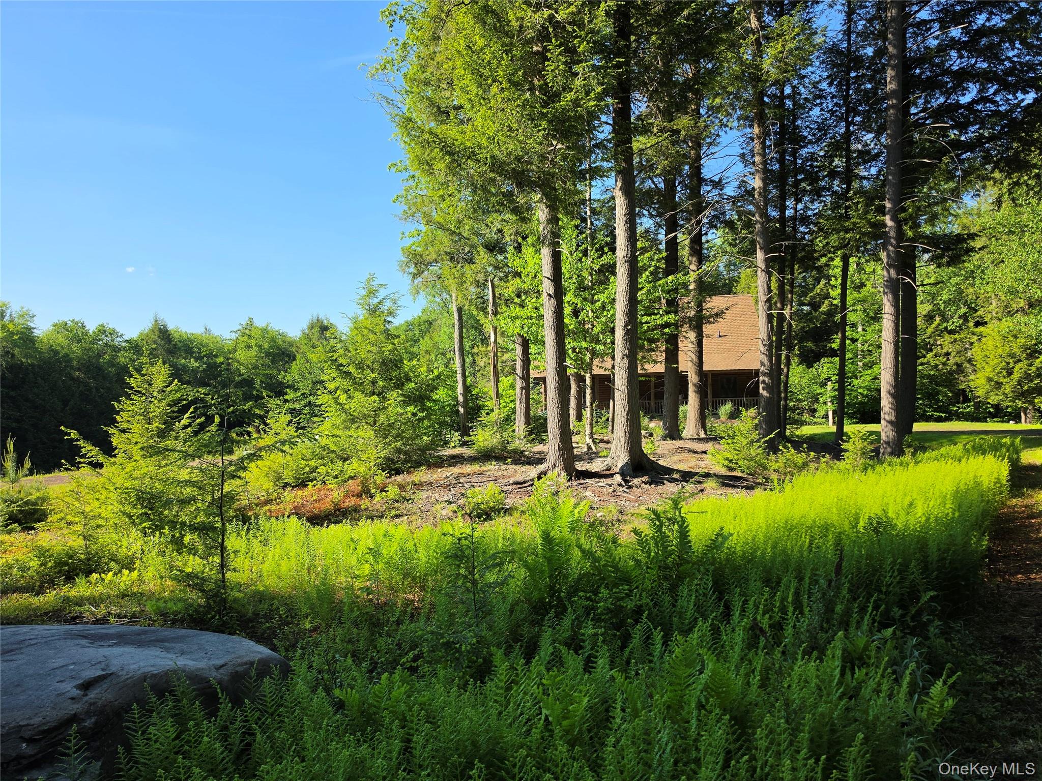 108 Eagles Ridge Way Property Photo 48