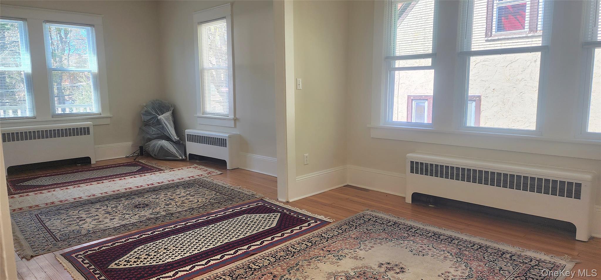 3 Hammond Street Property Photo 20