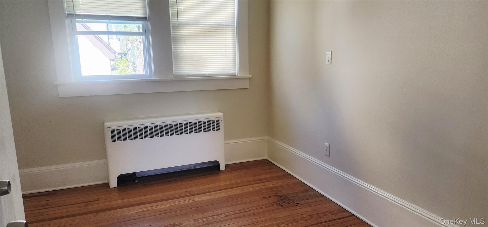 3 Hammond Street Property Photo 21