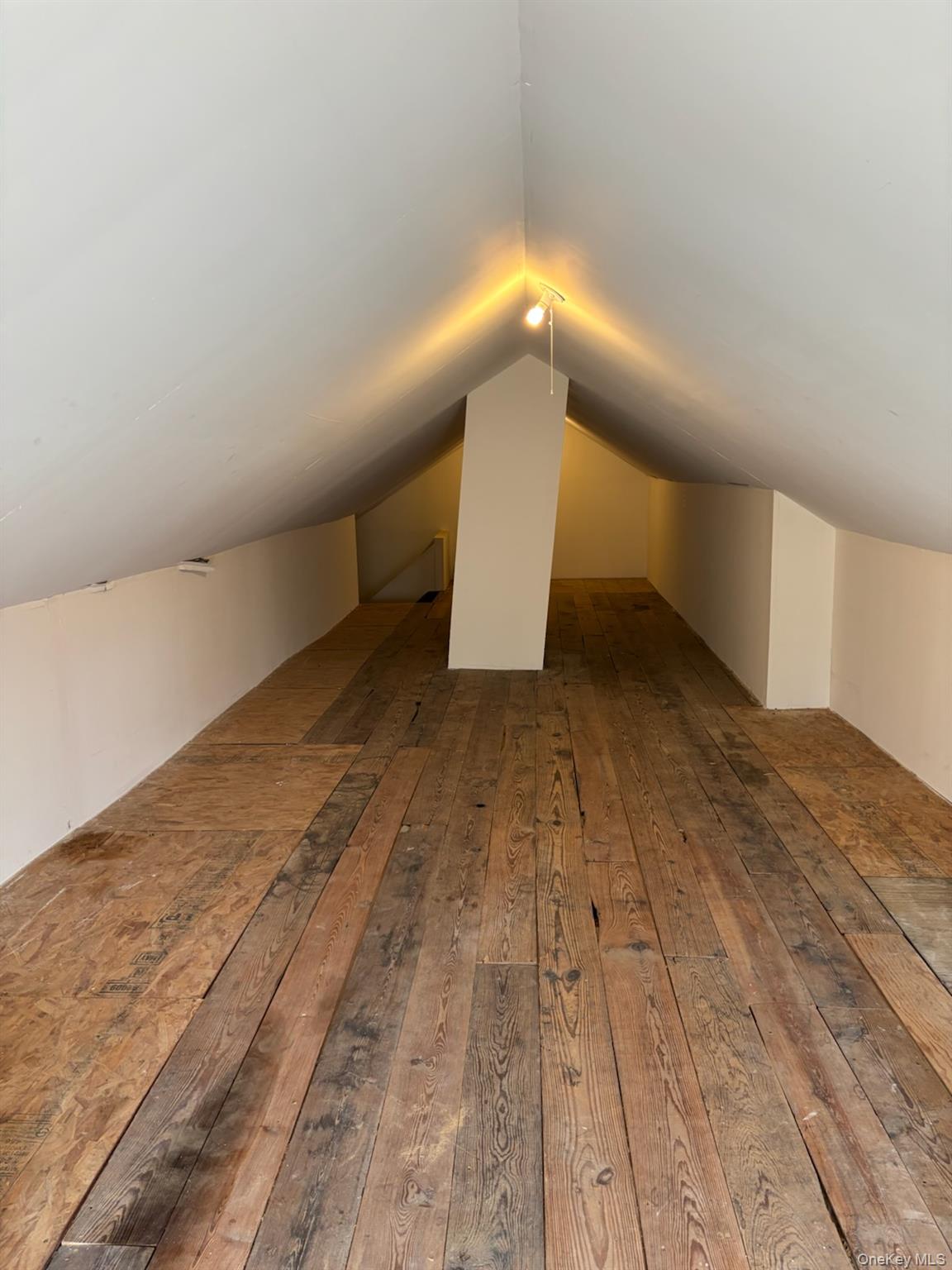 3 Hammond Street Property Photo 23