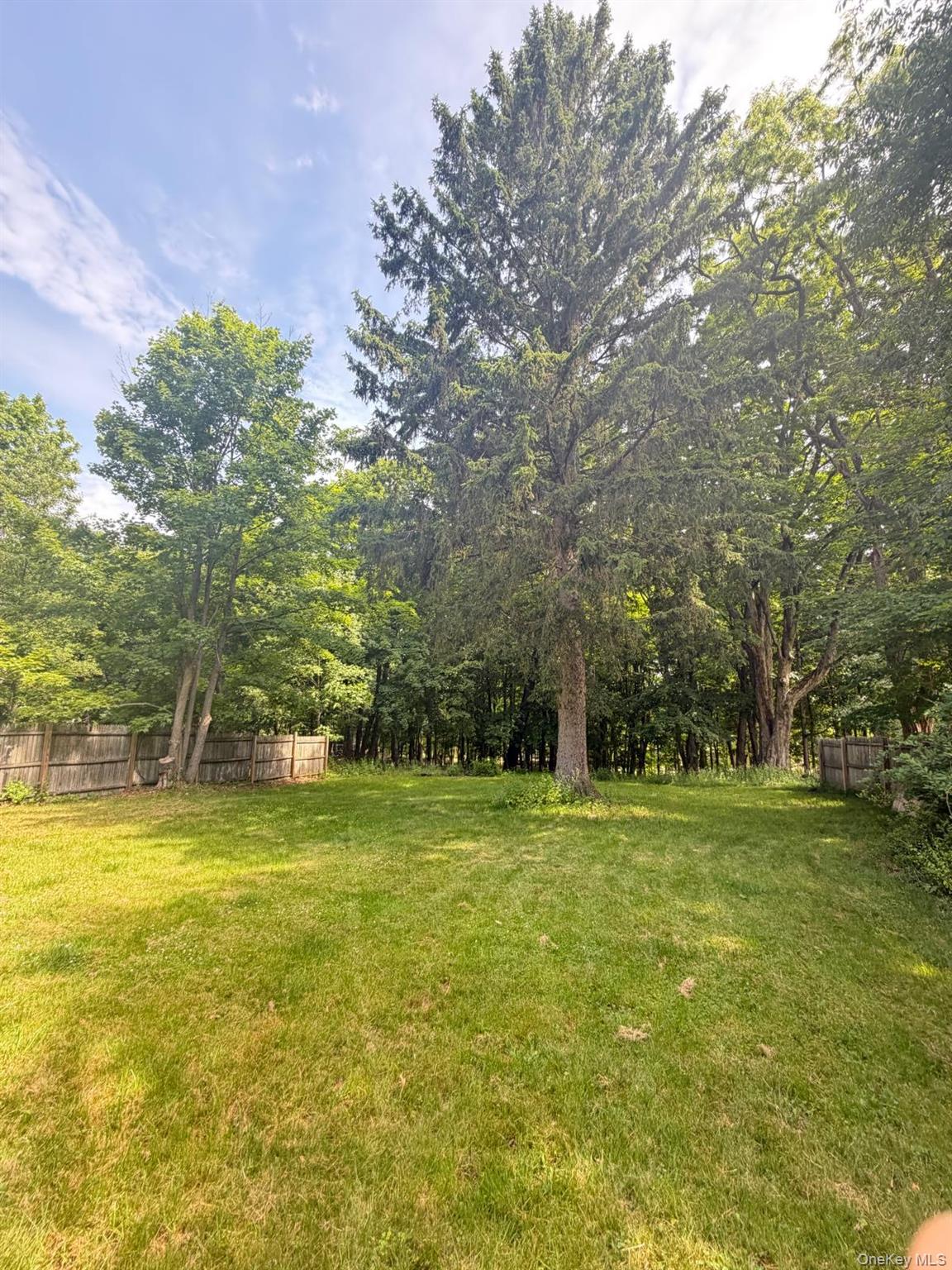 35 Starr Avenue Property Photo 4