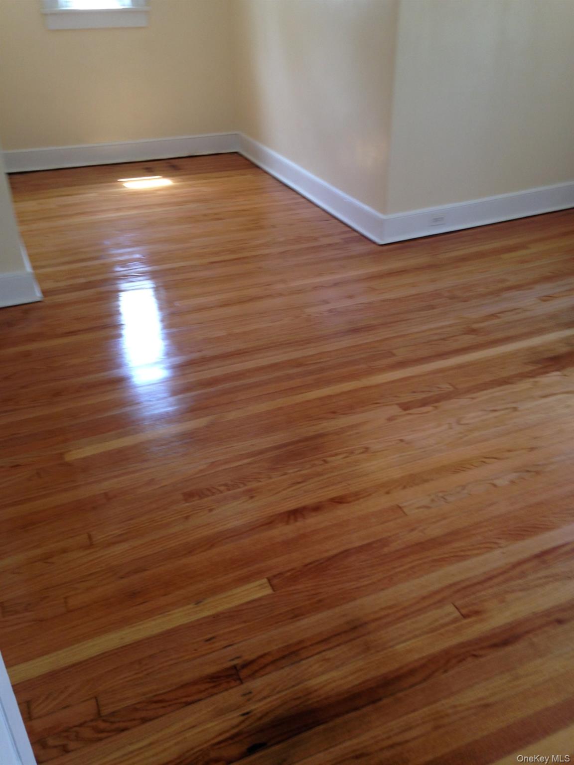 1 Hammond Street Property Photo 8