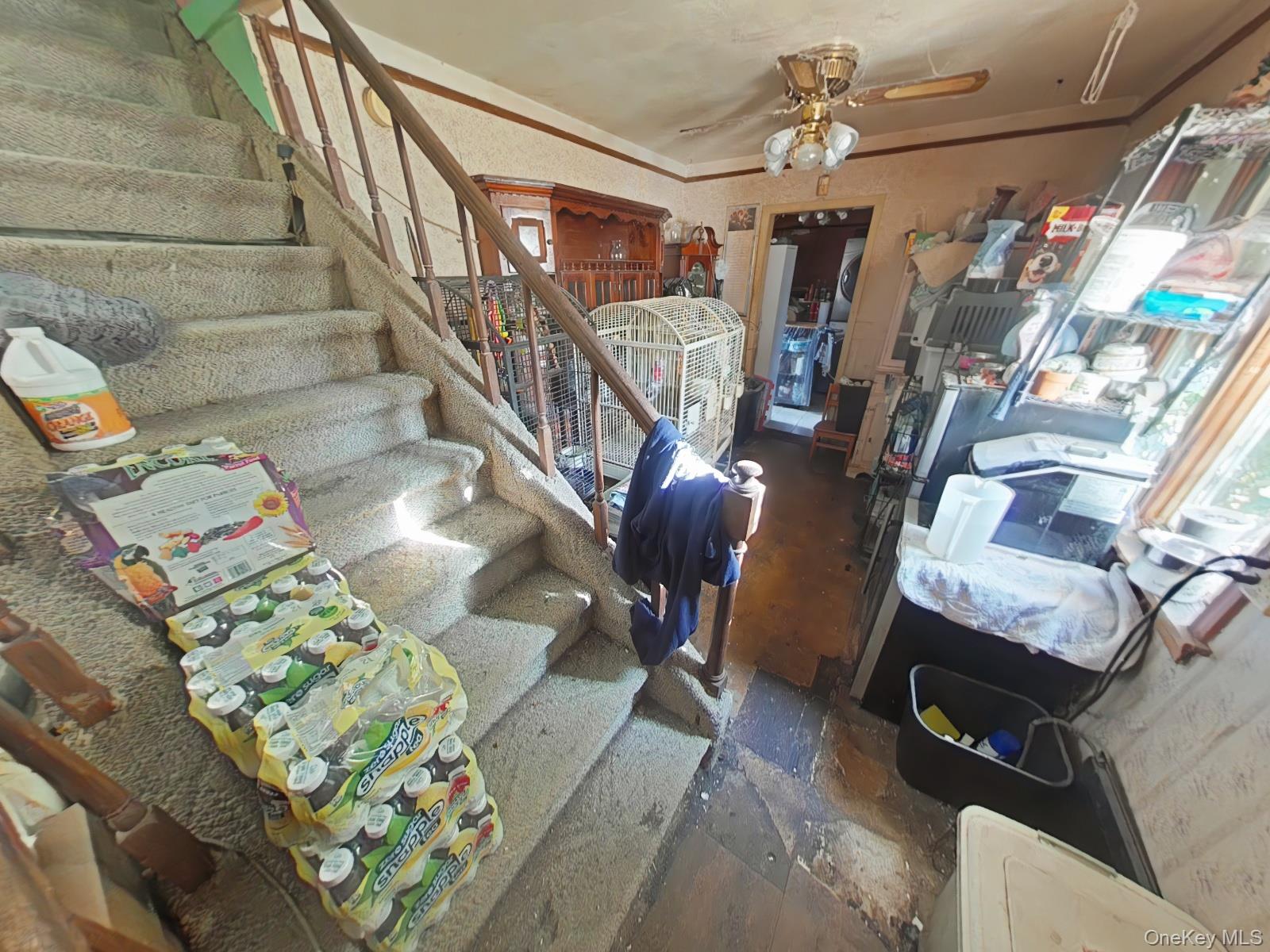 7 Lily Lane Property Photo 2