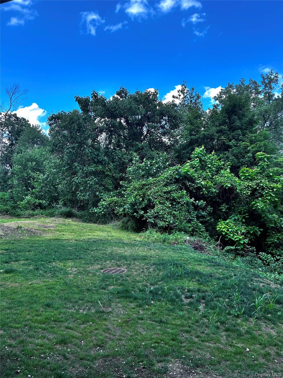 1013065 Property Photo 38