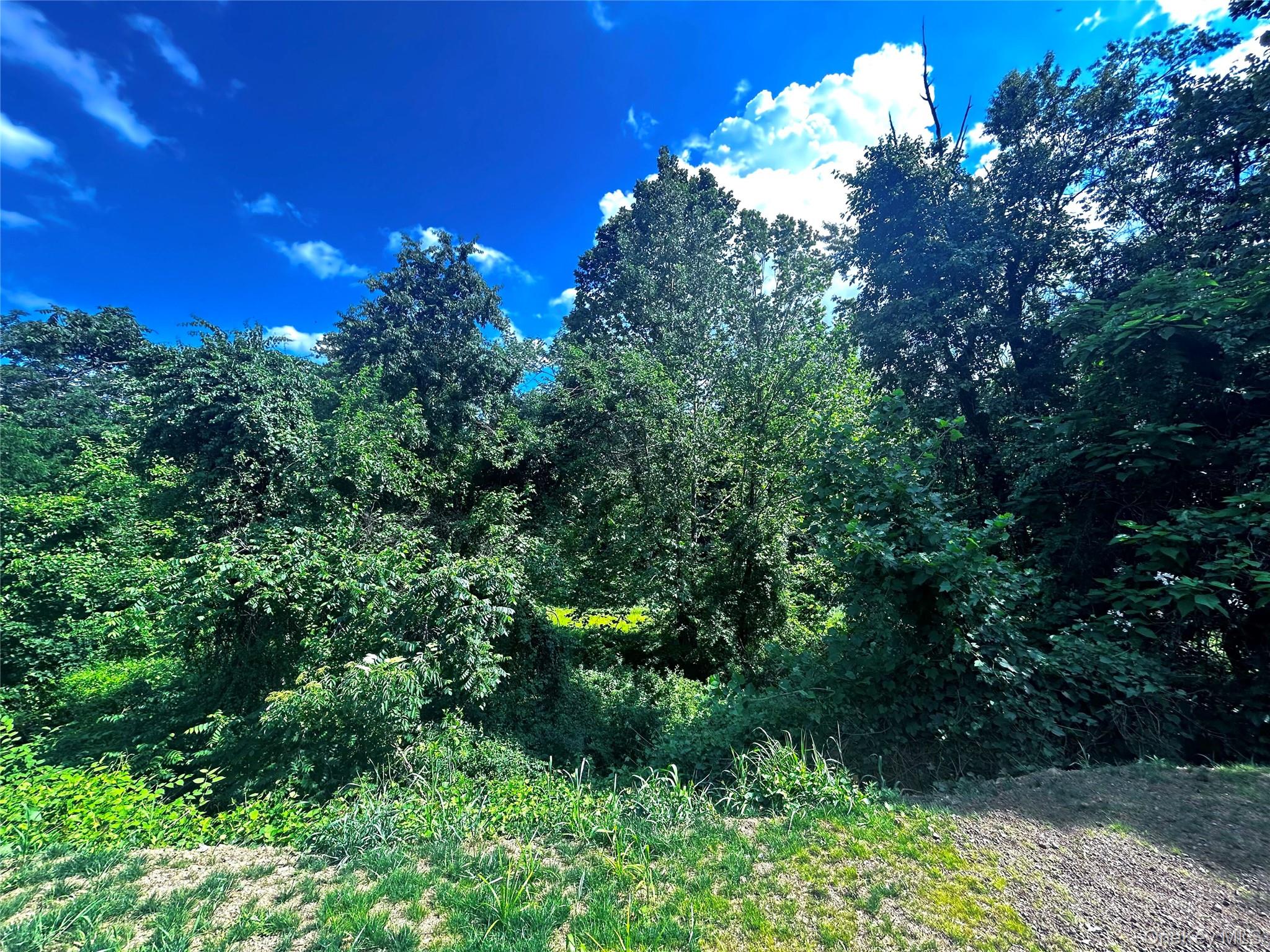 1013065 Property Photo 39