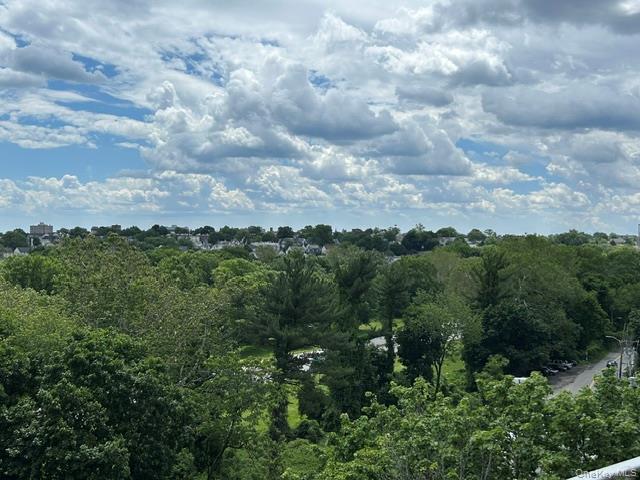 671 Bronx River Road 6g Property Photo 12