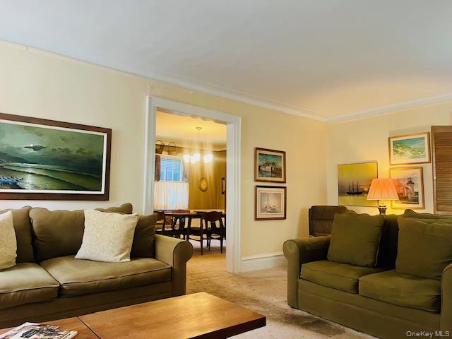 11515 Babbage Street Property Photo 19