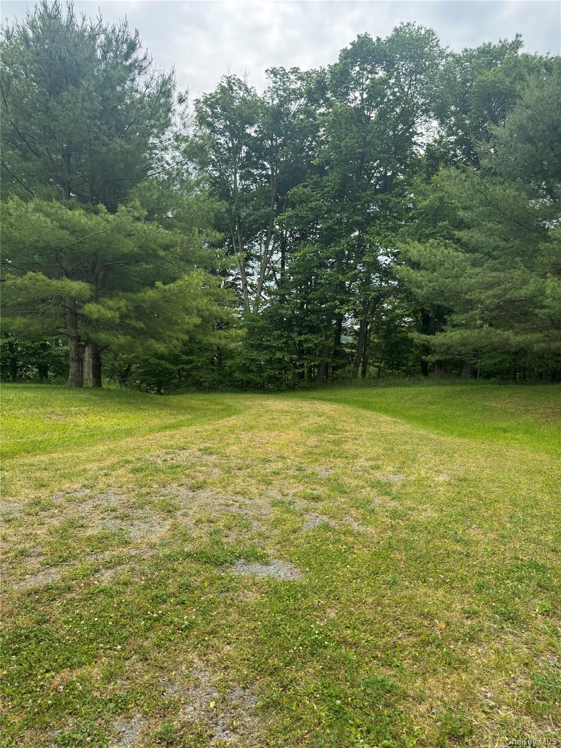 742 Lenape Lake Road Property Photo 6