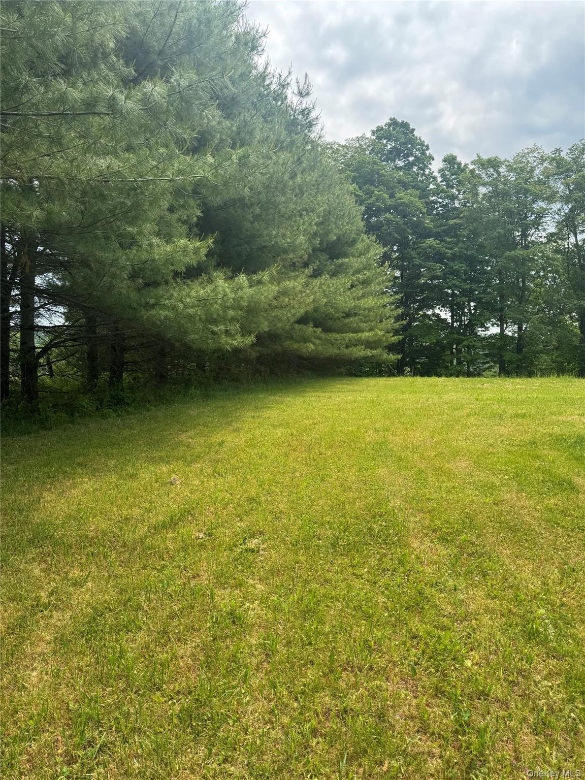 742 Lenape Lake Road Property Photo 11