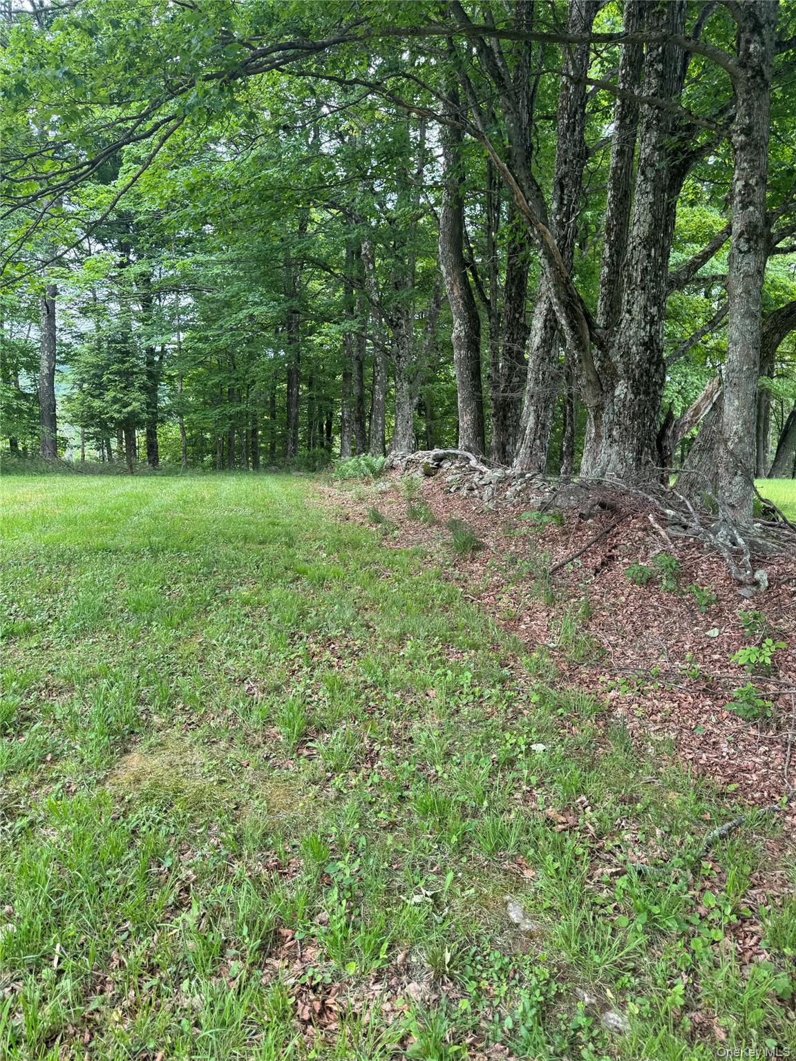 742 Lenape Lake Road Property Photo 13
