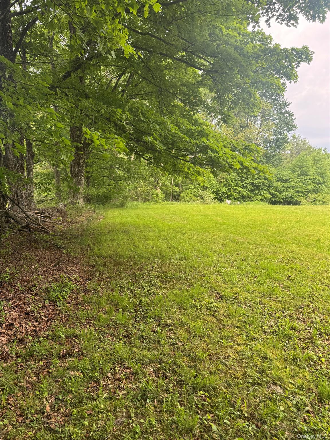 742 Lenape Lake Road Property Photo 23