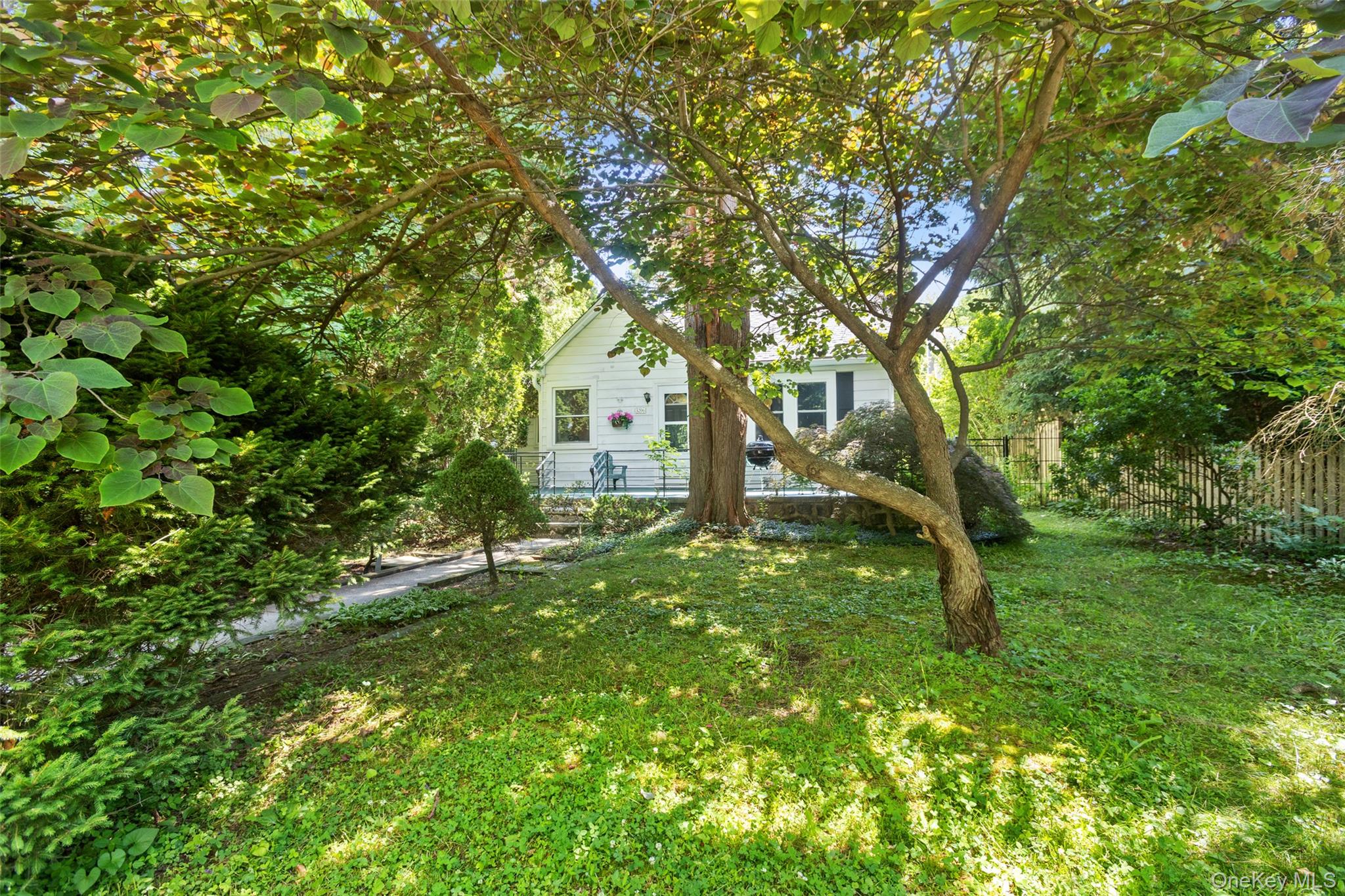 3206 Hollywood Street Property Photo 5