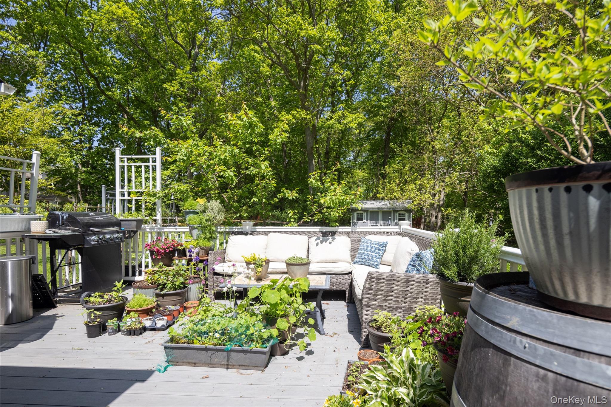 16 Bowditch Road Property Photo 21