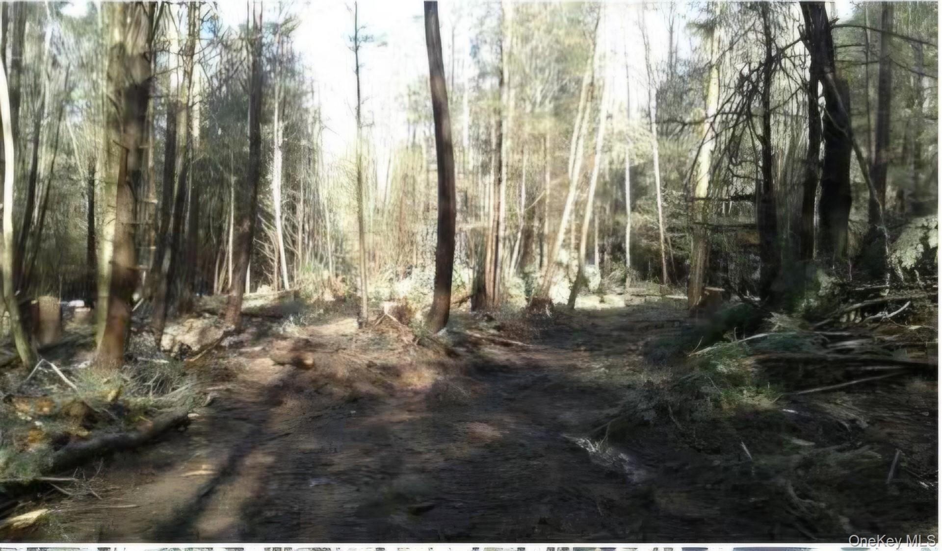 24-12 Parks Rd Property Photo 1